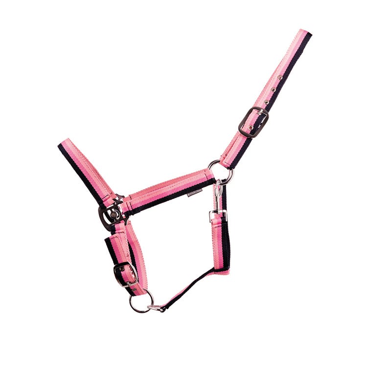 Hy Equestrian Trinity Head Collar image 4